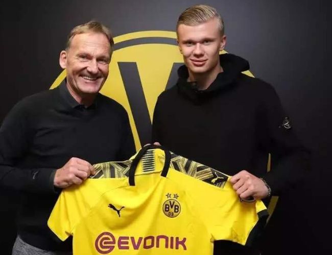 稳定赢法 稳定赢法